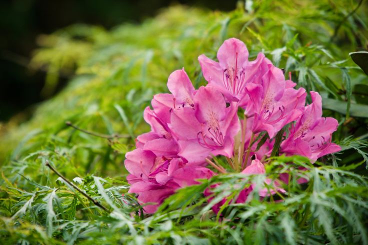 thomas-dils-kNlAuk59kX4-unsplash